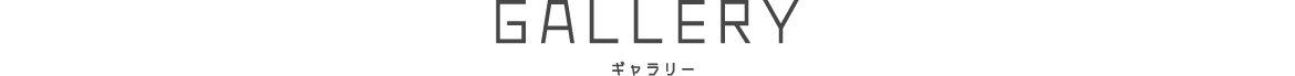 写真ギャラリー